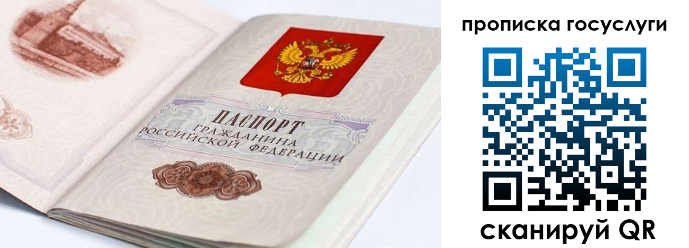 прописка гарантия в Псковской области